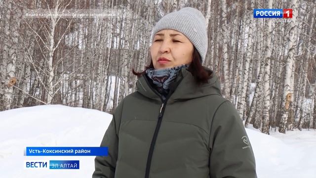 В Усть Коксинском районе состоялось традиционное эколого спортивное соревнование смотреть онлайн