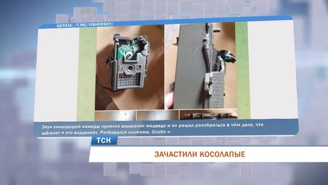 ЗАЧАСТИЛИ КОСОЛАПЫЕ смотреть онлайн