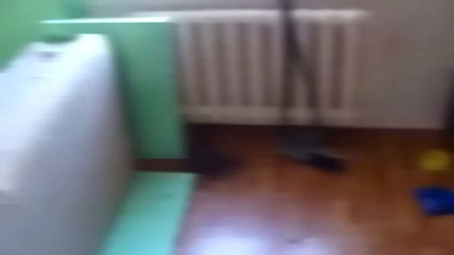 Интернет представляет №2 (прикольные ролики) смотреть онлайн