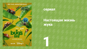 Настоящая жизнь жука 1 сезон 1 серия «Большой город» (документальный сериал, 2024)