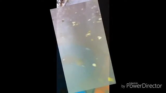 Зимний (влог) ~~%1 смотреть онлайн