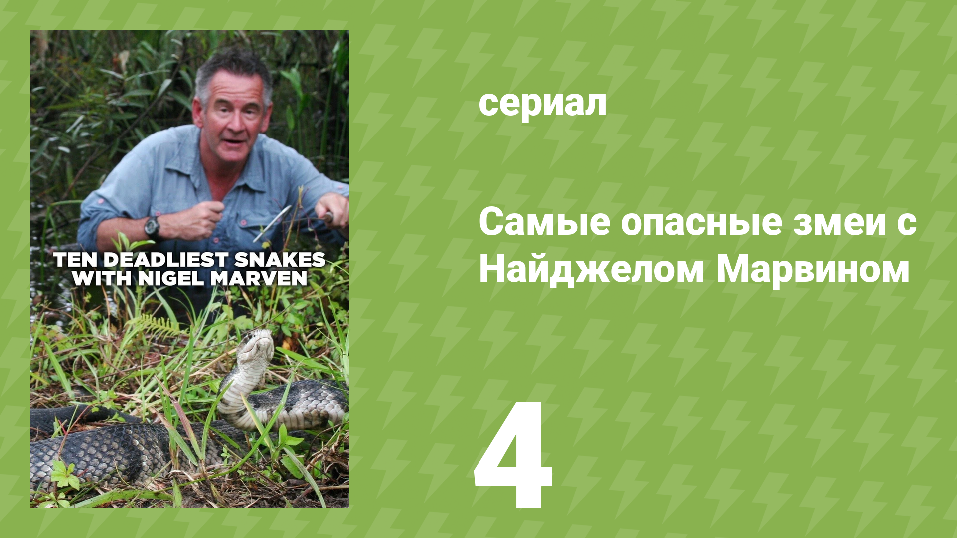Самые опасные змеи с Найджелом Марвином 1 сезон 4 серия «Южная Африка» (документальный сериал, 2014)
