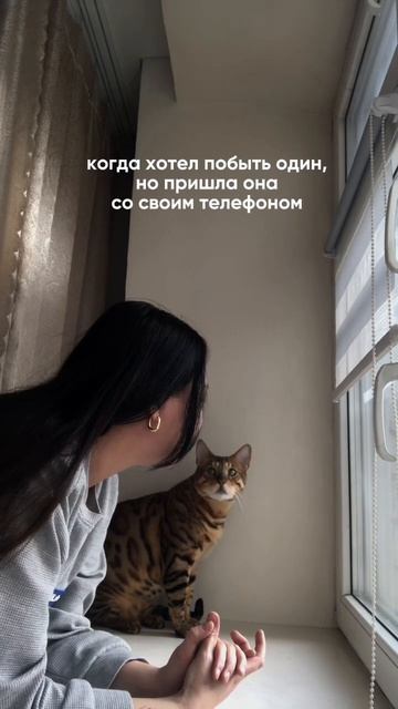 подписывайся у меня атмосферно #эстетика #блог #жизнь # смотреть онлайн