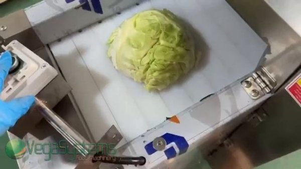 Машина Vega Cabbage Dicer H500 нарезка капусты, мяса кубиком