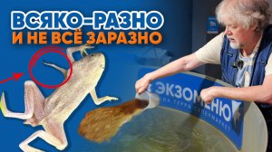 Аквариумные новости с Владимиром Ковалёвым (16.05.2025). Всяко-разно и не всё заразно!