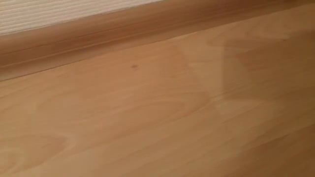 Победа в борьбе с мошкарой и комарами. смотреть онлайн