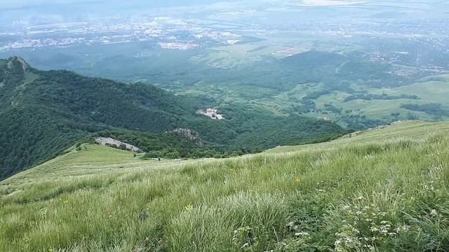 15 июня 2020 г.