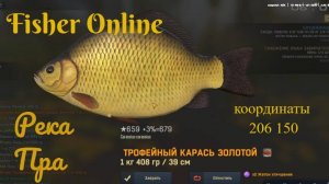 Fisher Online Золотой карась река Пра