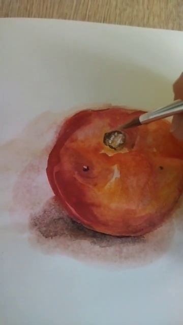 напишем помидор медовой акварелью. #рисуем #уроки акварели #помидор #акварель #еда #живопись смотреть онлайн