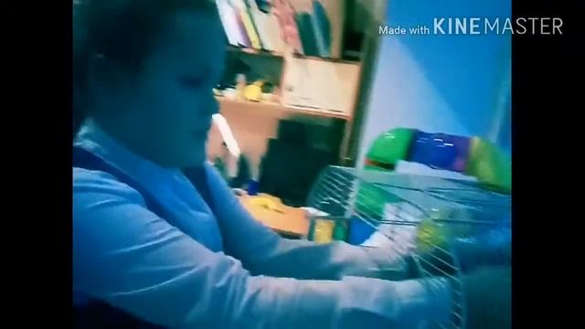 ХОМЯКИ/Тучка и Снежок/ДРУЗЬЯ