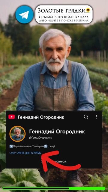 Как избавиться от колорадского жука без химии: просто? смотреть онлайн