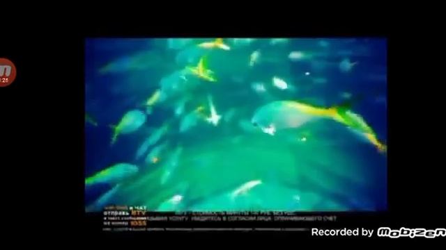 Рекламный блок (Bridge TV лето 25.14.2014)