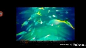 Рекламный блок (Bridge TV лето 25.14.2014)