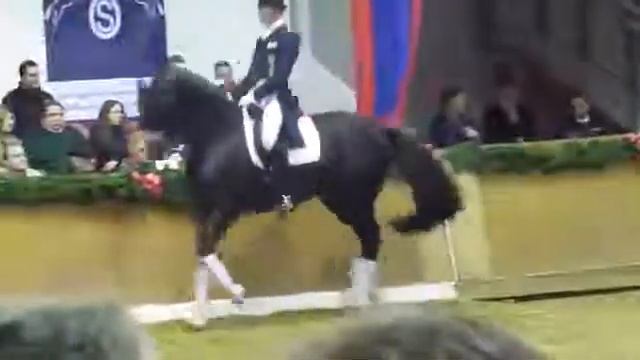 Тотилас Король выездки,под седлом легендарного Эдварда Гала! смотреть онлайн