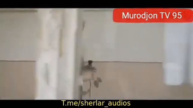 Ажойиб кушик  (синфдошлар)