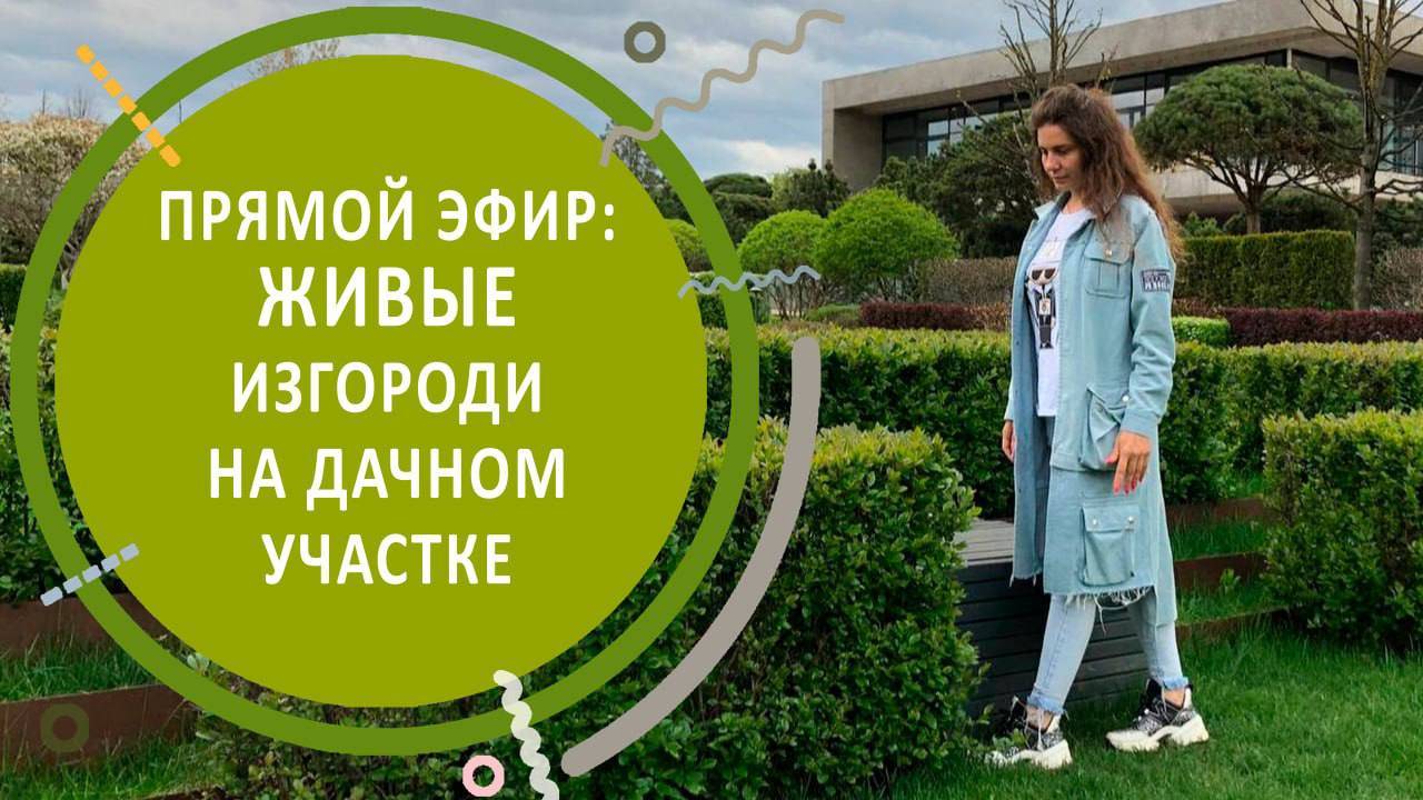 ПРЯМОЙ ЭФИР:
ЖИВЫЕ ИЗГОРОДИ НА ДАЧНОМ УЧАСТКЕ