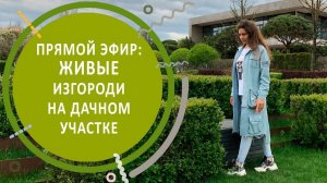ПРЯМОЙ ЭФИР:
ЖИВЫЕ ИЗГОРОДИ НА ДАЧНОМ УЧАСТКЕ