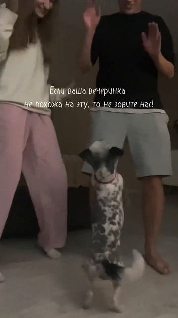 Я просто хочу оставить это здесь!Кусочек моей жизни - т смотреть онлайн