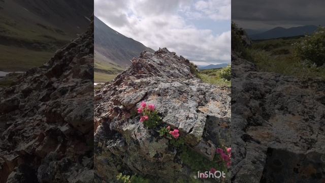 Камчатка 13-22 июля 2024г. часть 2 смотреть онлайн