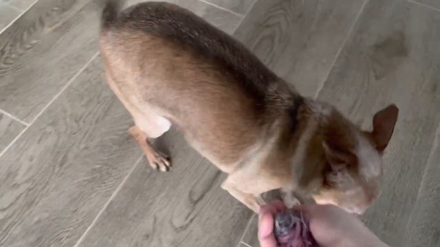 На юг пришла зима//связала платье для малышки