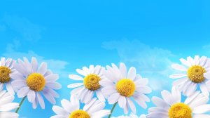 "ПЛЫВЁТ ВЕНОЧЕК"-Н.КАДЫШЕВА.