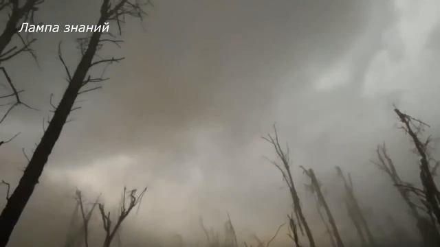 Видео с камеры боевика ВСУ (18+) смотреть онлайн