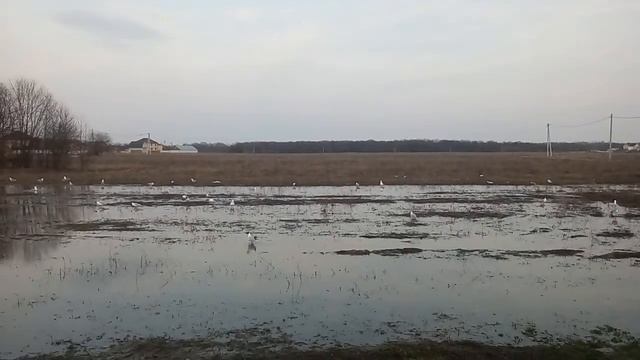 ИЗ ОКНА БЫТОВКИ смотреть онлайн