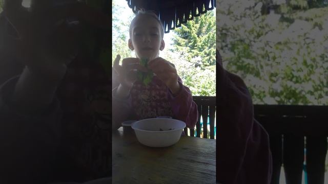 Дачная вкусняшка