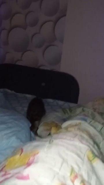 чем занять в 02:36 ночи🤣 конечно же играть! смотреть онлайн