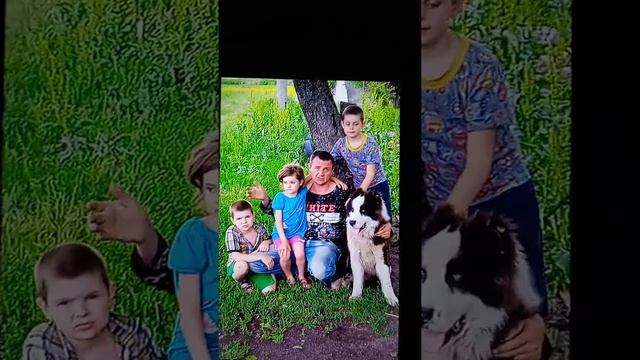 обидели многодетную семью перший раз перестріляли поросят 2 раз чуть не убили смотреть онлайн
