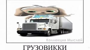 Кошечки-собачки + ШИЗА =