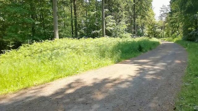 ТРОИЦА-ЭТО ЛЕТО,ПРИРОДА,РАСТЕНИЯ!/ 935 смотреть онлайн