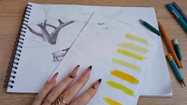 Вівці. Малюнок простим олівцем