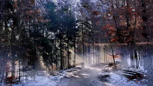 БЕЛЫЙ СНЕГ Сл. и муз. Вячеслав Чёрный смотреть онлайн