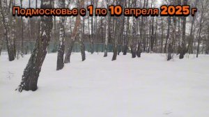 Подмосковье с 1 по 10 апреля 2025 г