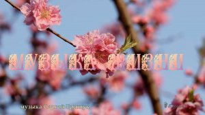 МУЗЫКА ЖИЗНИ  *