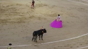 Мадрид. Коррида