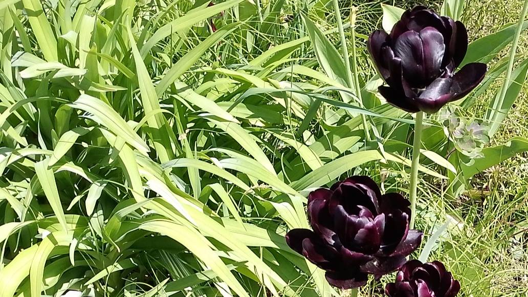 Влог. Цветочно- вязальный. Полезности и вкусности из Вайлдберриза. смотреть онлайн