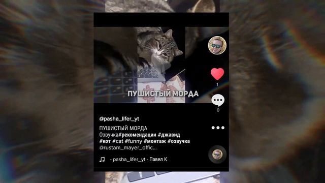 ПУШИСТЫЙ МОРДА - ОЗВУЧКА ДЖАВИДА ▪ СОЗДАЛ ТИК ТОК смотреть онлайн