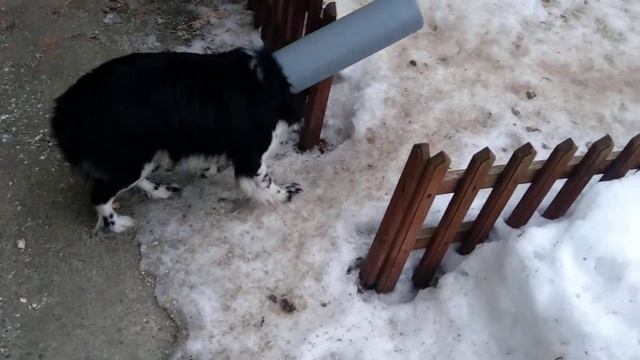 Утренний прикол. смотреть онлайн