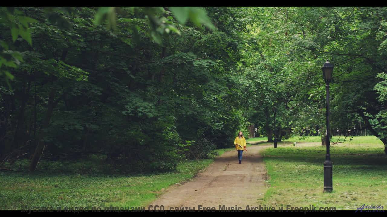 Почему в этом видео видят послания из другого мира - Risers -- Chad Crouch -- Arps II