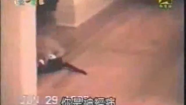 Пародия на 300 спартанцев с котами и собаками смотреть онлайн