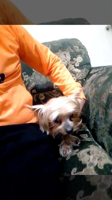 Жанна привет🌟🌟🌟🌟