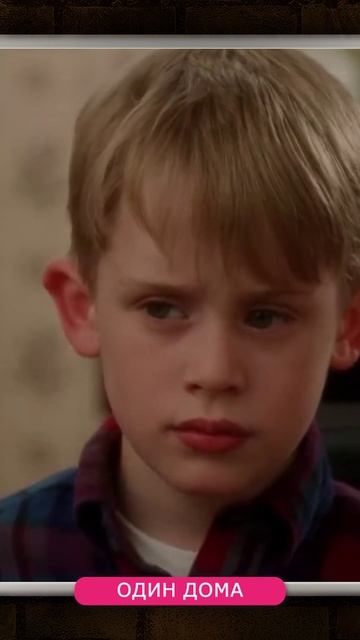 МАЛЕНЬКИЙ ОЧКАРИК ИЗ "ОДИН ДОМА" СТАЛ ОБЛАДАТЕЛЕМ ОСКАР?🏆 ПРАВДА О ВТОРОМ КАЛКИНЕ! #одиндома #калки смотреть онлайн