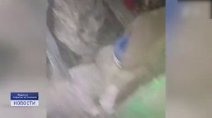 МЫ РУССКИЕ! С НАМИ БОГ!