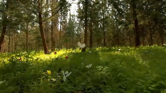 📌Не стой столбом, обслужи гостей🟥Невыдуманные истории  из жизни🟥Аудиорассказ🟥Истории  из жизни