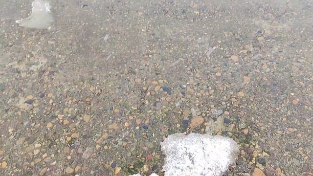 мобильное видео: Прогулка по зимнему Цимлянскому пляжу. смотреть онлайн
