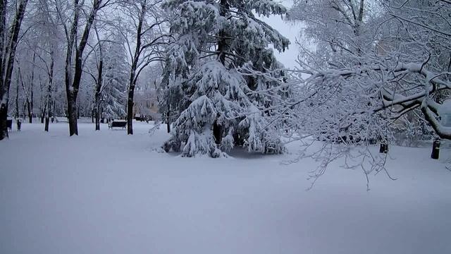 Зимний Ставрополь 2019