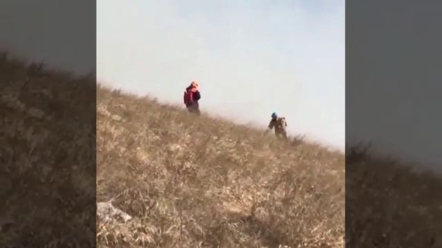 На Ставрополье потушили пожар на горе Бештау смотреть онлайн