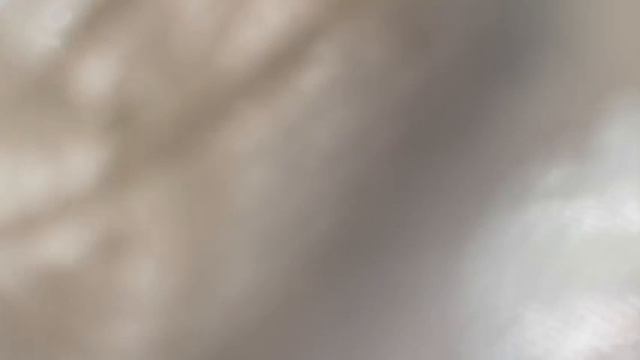 Ловчикова смотреть онлайн